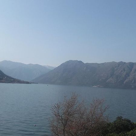 Melodia Del Mare 2 Apartment Kotor Bagian luar foto